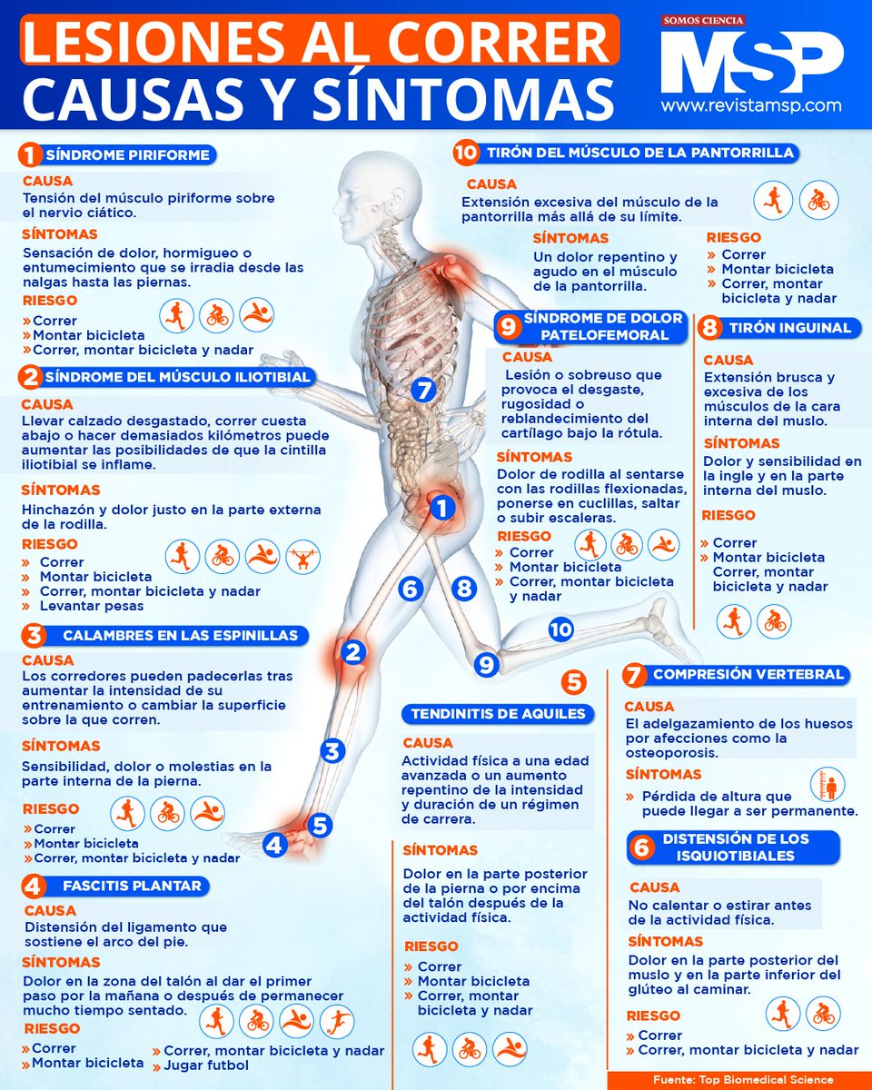Revista MSP tweet media