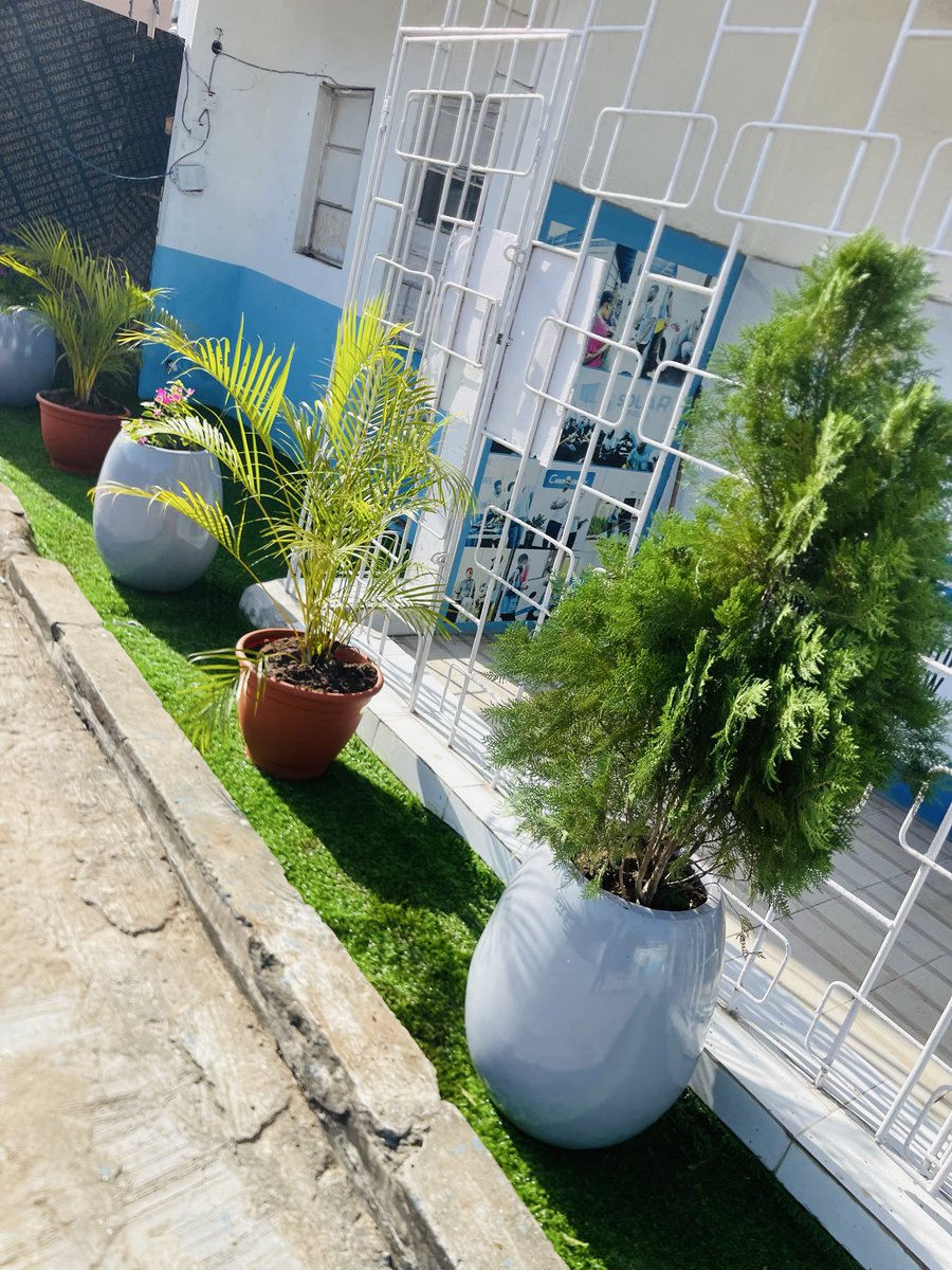FLORIST /GARDEN DESIGNS ASQAURE HORTI RC:2789504⛴️ tweet media