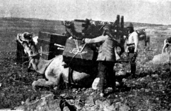 arifhudaikoken's tweet photo. I. Dünya Savaşında Osmanlı ordusunun çölde kullandığı seyyar röntgen cihazi ve yaralı bir askerin röntgen çekimi.
#rontgen #medicalhistory https://t.co/JKVCDSODIe