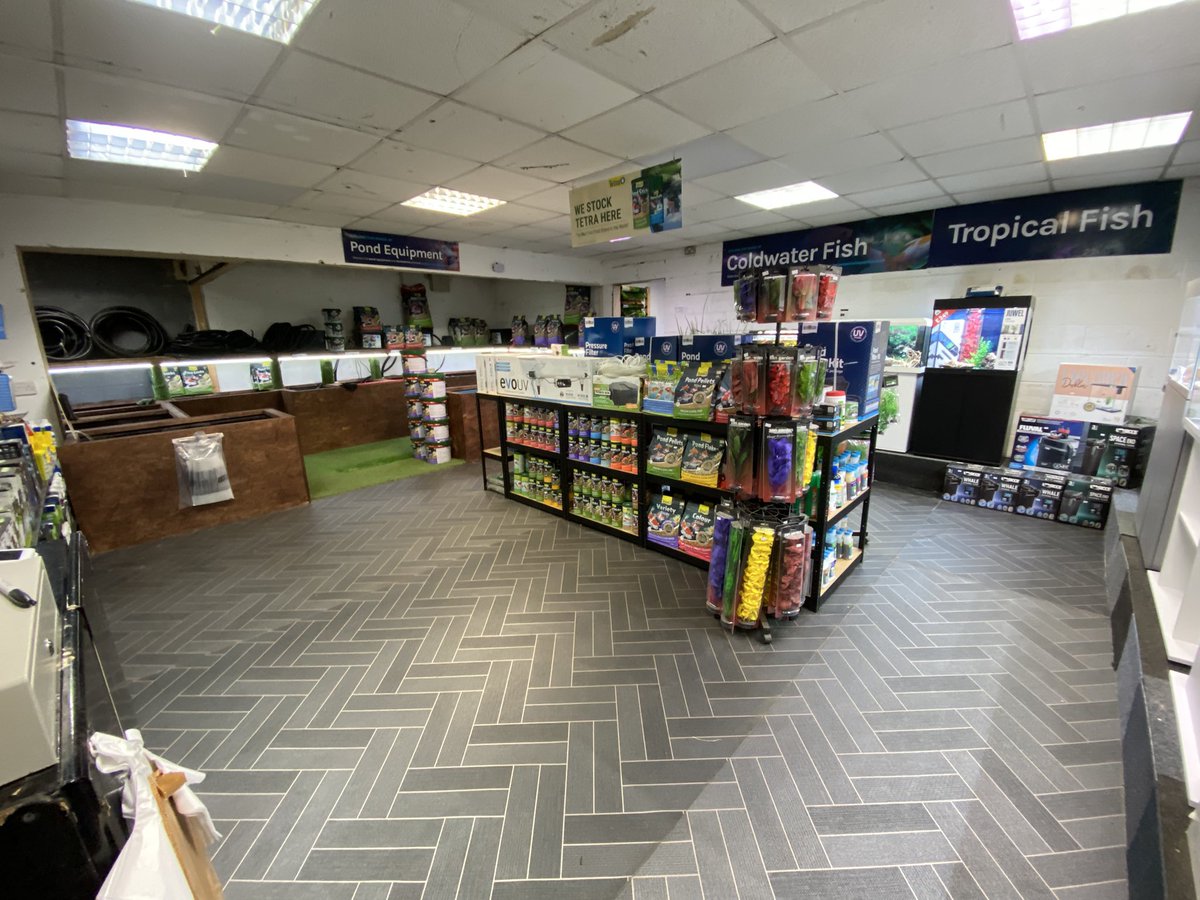 UAquaticsUK's tweet photo. We’re open today 10AM–5PM! 🐠 Dive in and explore our wide range of healthy livestock and fully stocked shelves of dry goods. Everything you need for your aquarium under one roof—see you soon!

#tropicalfish #aquarium #fishtank #fish #aquariumhobby #aquascape #aquariumfish #fresh https://t.co/aW8Oy4CSC0