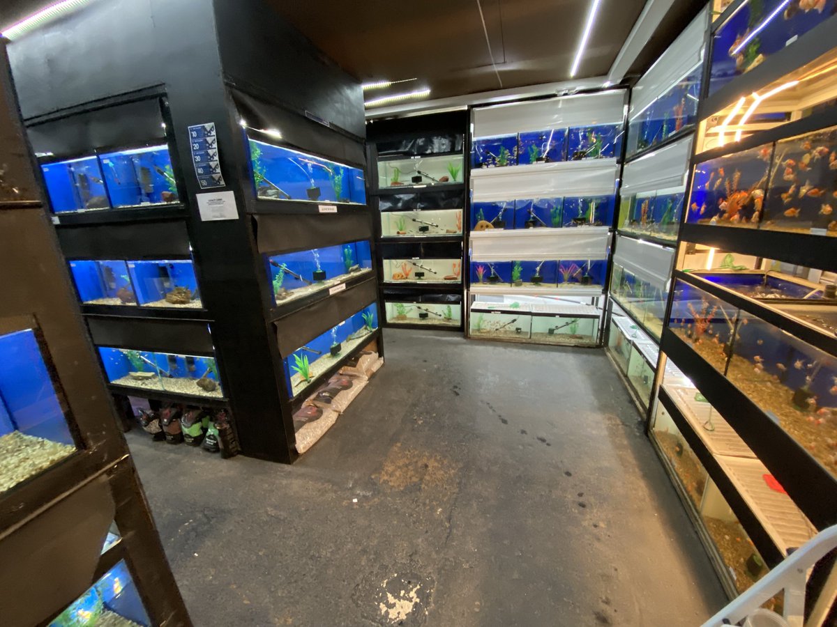 UAquaticsUK's tweet photo. We’re open today 10AM–5PM! 🐠 Dive in and explore our wide range of healthy livestock and fully stocked shelves of dry goods. Everything you need for your aquarium under one roof—see you soon!

#tropicalfish #aquarium #fishtank #fish #aquariumhobby #aquascape #aquariumfish #fresh https://t.co/aW8Oy4CSC0