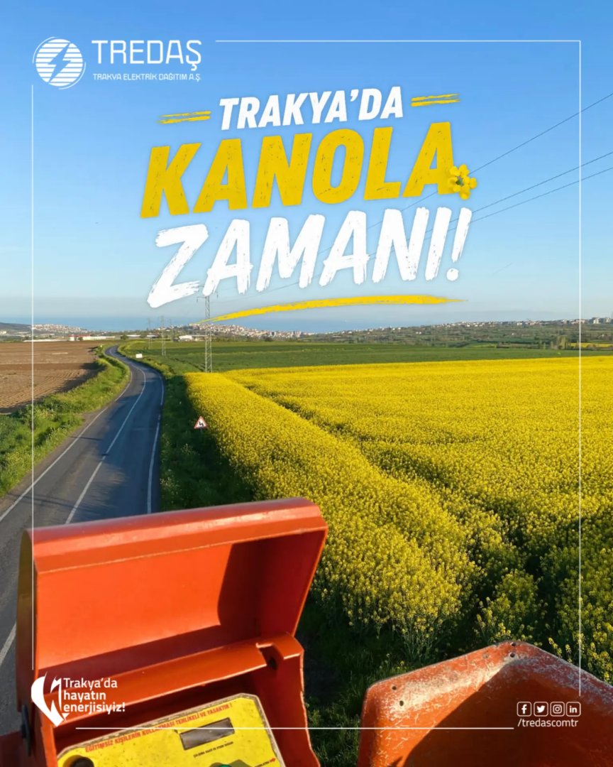 tredascomtr's tweet photo. Trakya'da baharın en güzel habercilerinden biri: kanola zamanı.

Sarıya bürünen tarlalar, doğanın uyanışını ve bölgenin eşsiz güzelliğini bir kez daha gözler önüne seriyor.

#Kanola #KanolaZamanı https://t.co/M0JZ7JpqWG