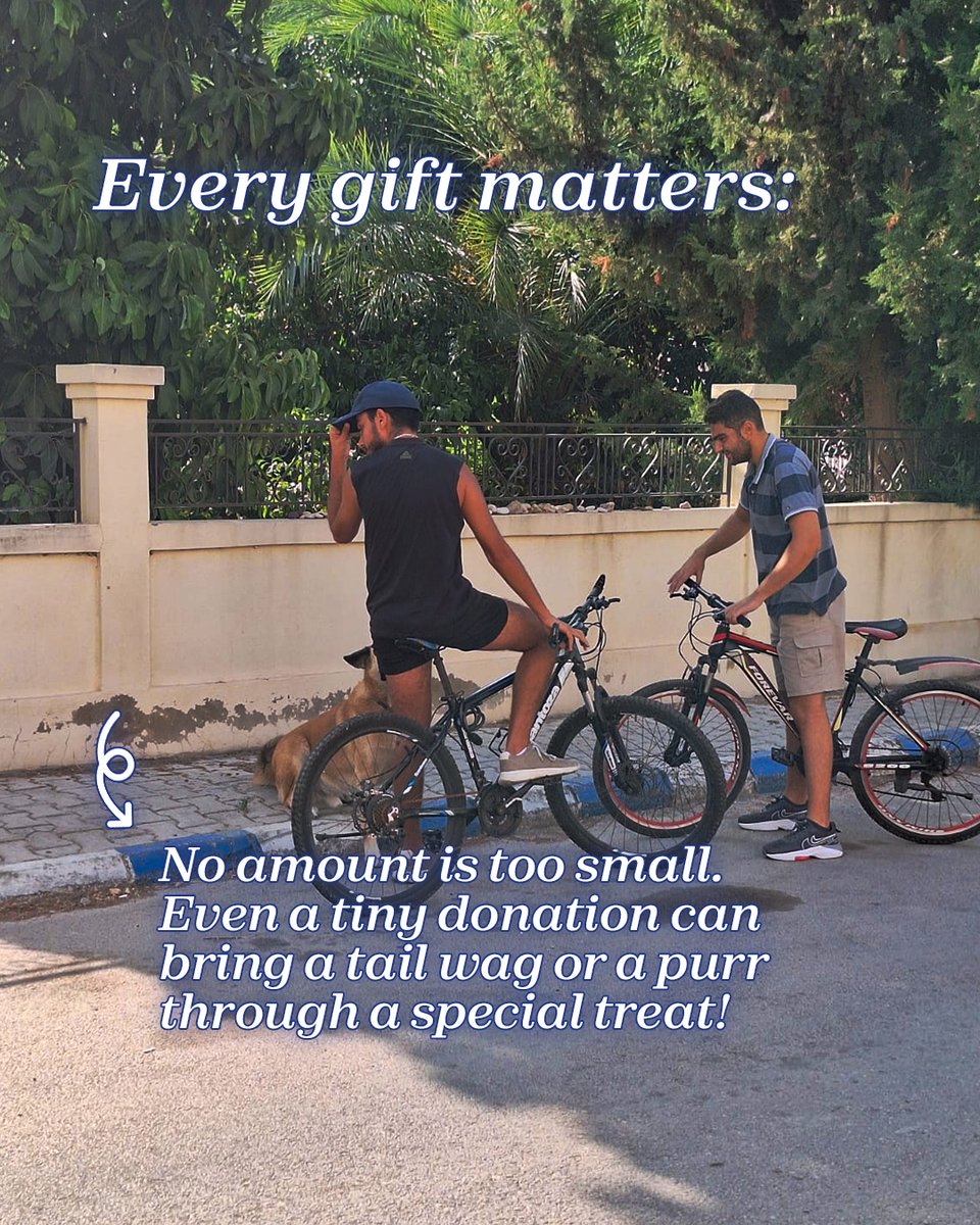 teamadslb's tweet photo. A little kindness goes a long way. 🐾 Your support keeps these sweet souls safe, fed, and loved. Every dollar is a promise of a better tomorrow for a pet in need. We can’t do this without you!
Donate via Fundahope, Whish, or OMT: https://t.co/5zF69Cgqic

#adoptdontshop https://t.co/AkYod51LH0