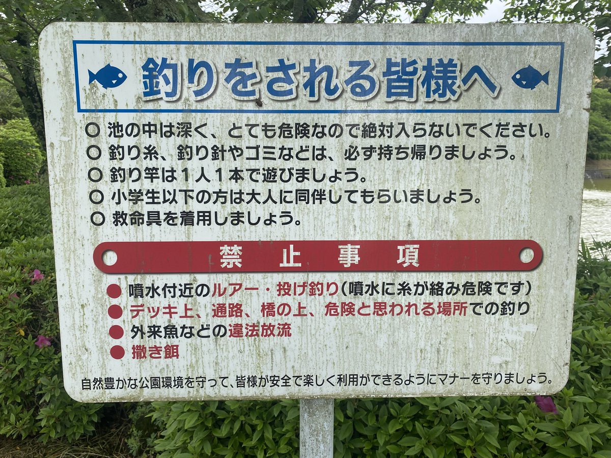 11RyuK11's tweet photo. ルールを守れない釣り人があまりにも多いです。

地元のメジャーフィールドですが、デッキ上、通路、橋の上は「釣り禁止」です。
禁止場所での釣りはやめてください。

#甘木公園
#バス釣り https://t.co/H8FPGXSxxR