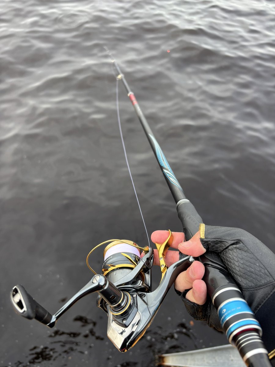 Rei fishing @東京湾奥＆房総 tweet media