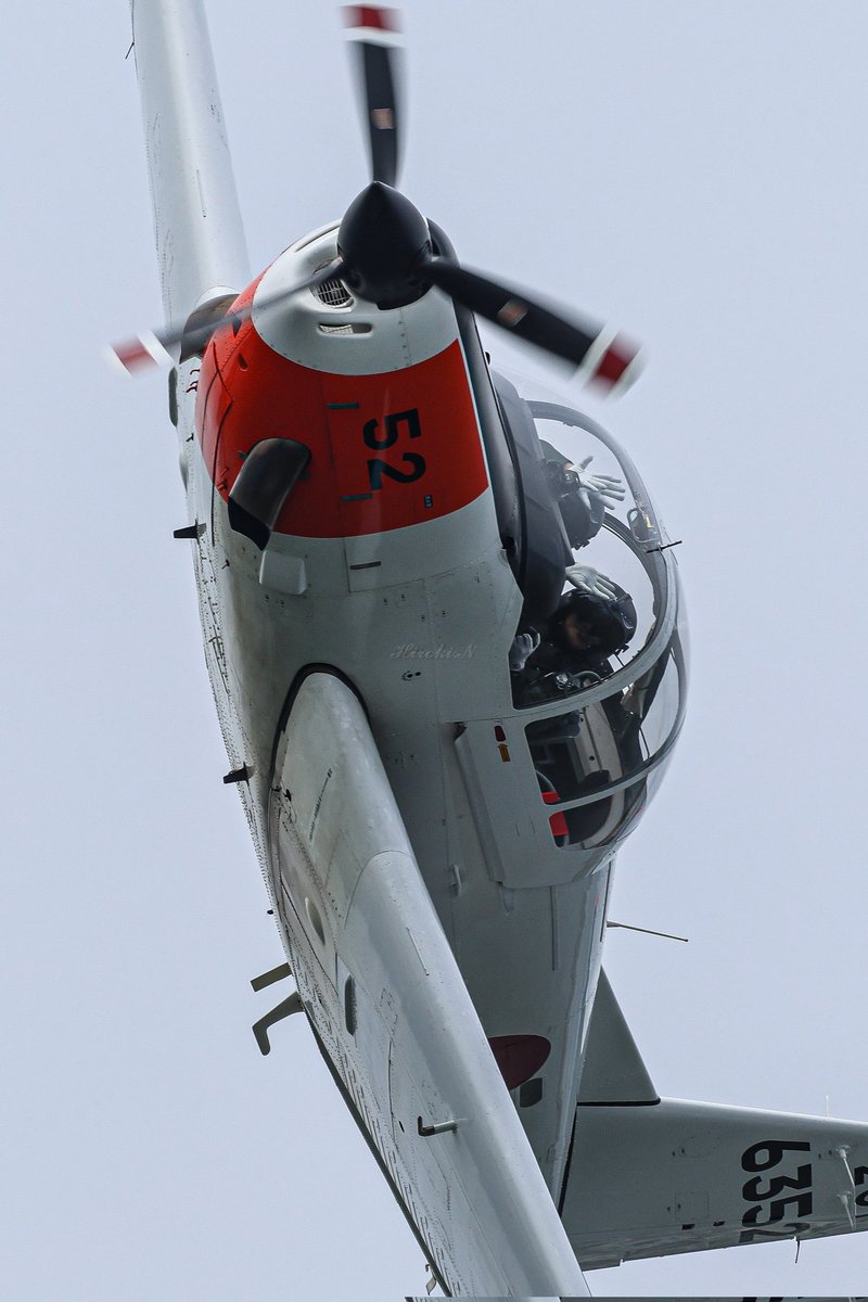 Z-33
