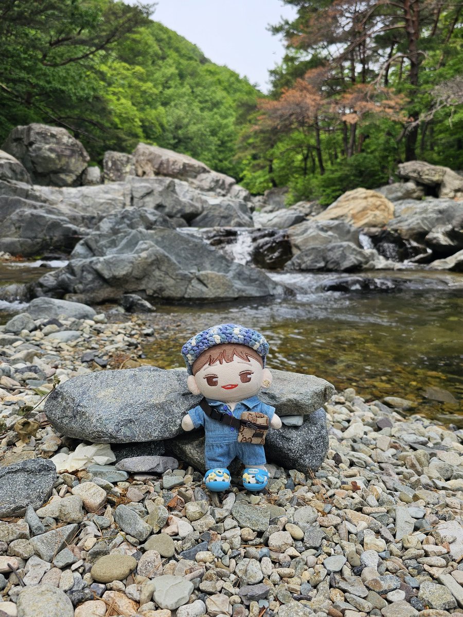 나비소녀의365일을 멈춘피터팬 EXO tweet media