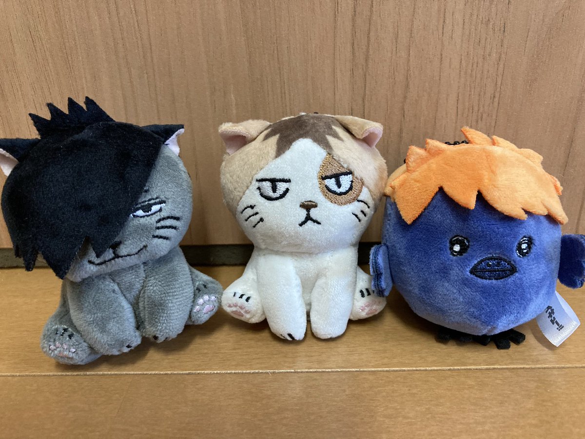 runchamatanuki's tweet photo. ハイキューガチャガチャひいてきた‼️
これ可愛いすぎるんだけど😘もっと引きたかったけど売り切れ🤣
#ハイキュー　#ガチャガチャ https://t.co/7pUryeBWN3