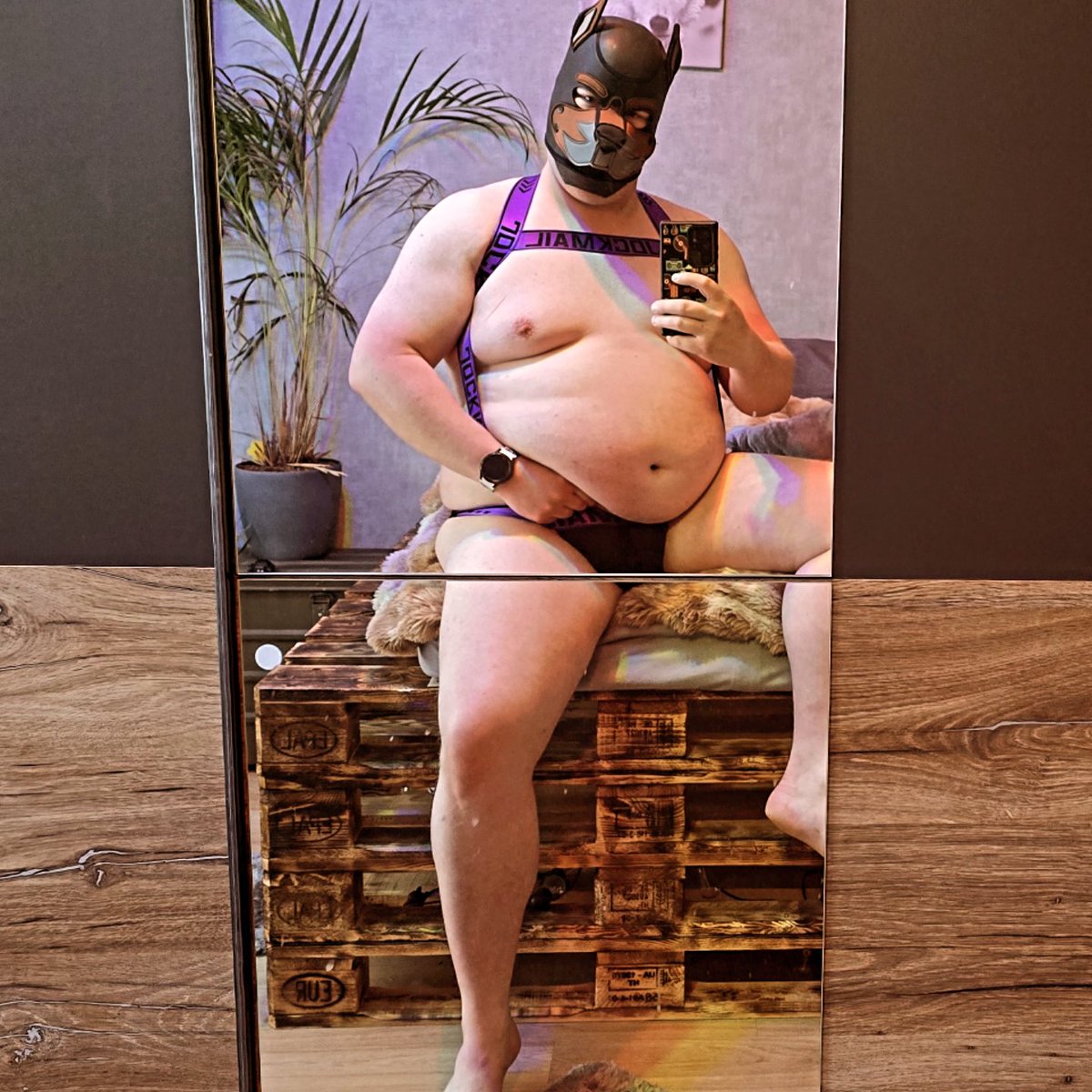 Blox Fuchser AD🦊🇩🇪🏳️🌈🔞 tweet media