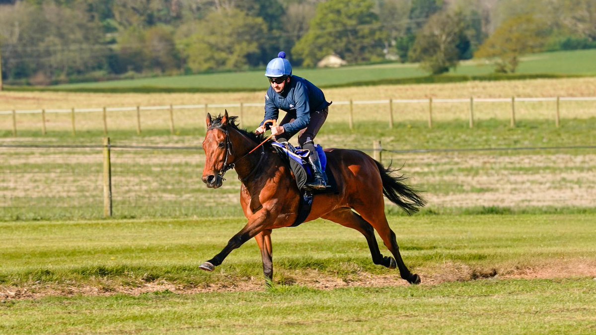 All For One Racing Syndicates tweet media