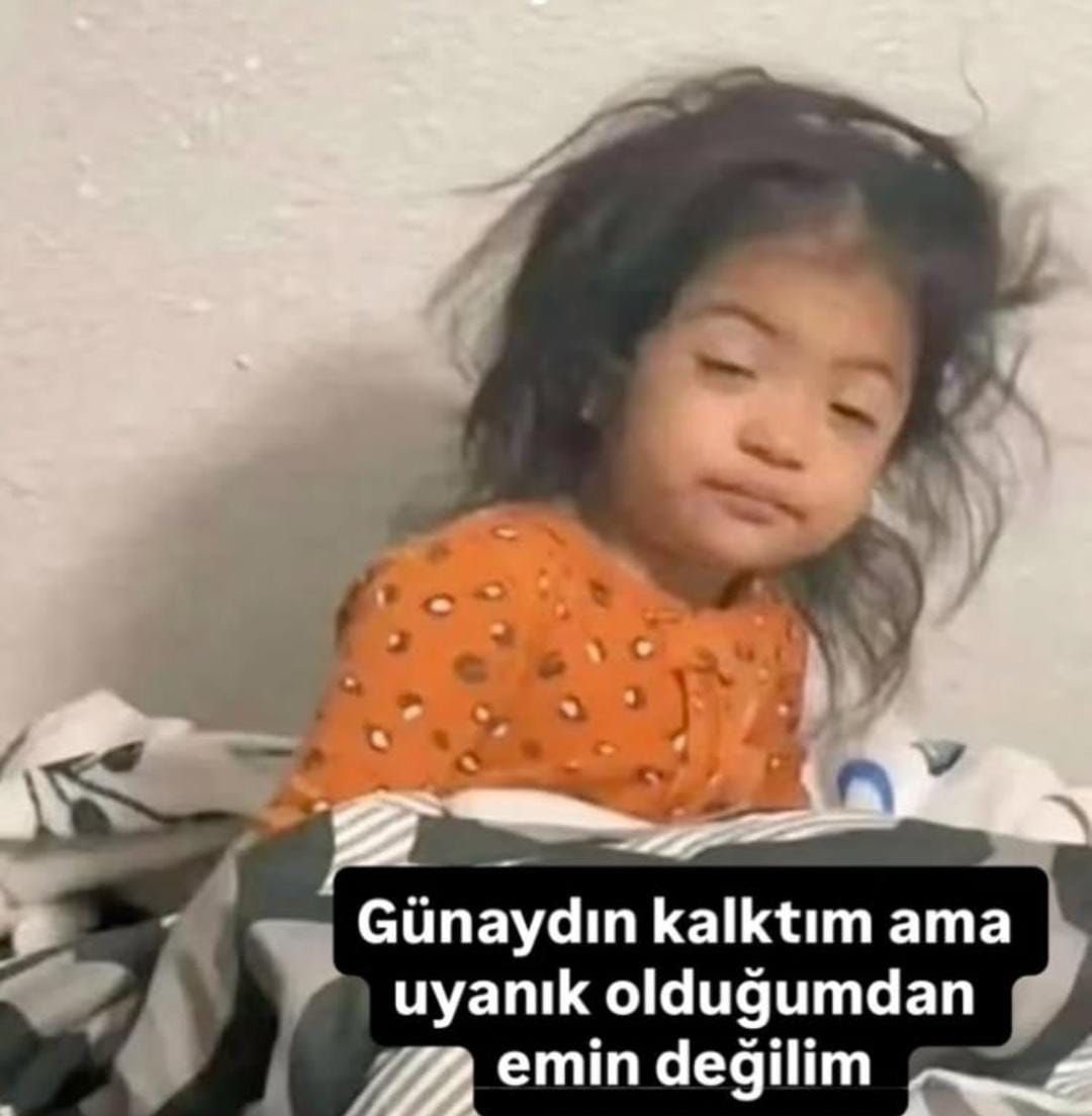 Cansel tweet media