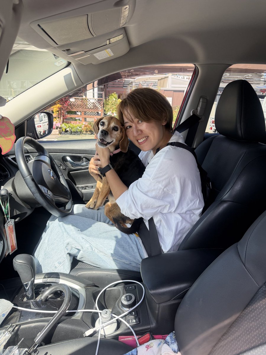 mayar1nz's tweet photo. うちの天使ちゃあちゃんが、旅に出ました🪽
14年間たのしくて、愛くるしい日々をありがとう🧡🐾
何十年後に会いに行くまで楽しく過ごしていてね！！
後半2枚は、保護されてたとこから引き取って首輪くらい買ってあげようとその足で向かったホムセンの駐車場でとった初めての写真と、最近の。
#rip https://t.co/GoZcA0jD9A