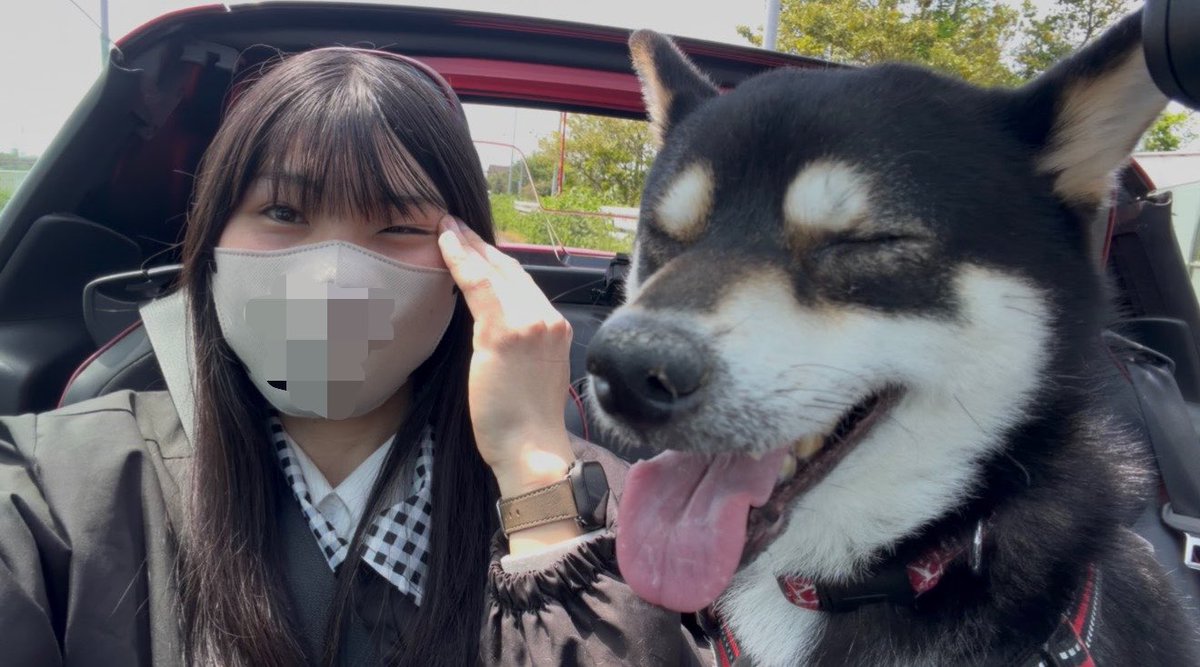 新井さん tweet media