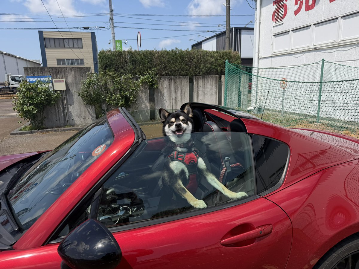 新井さん tweet media