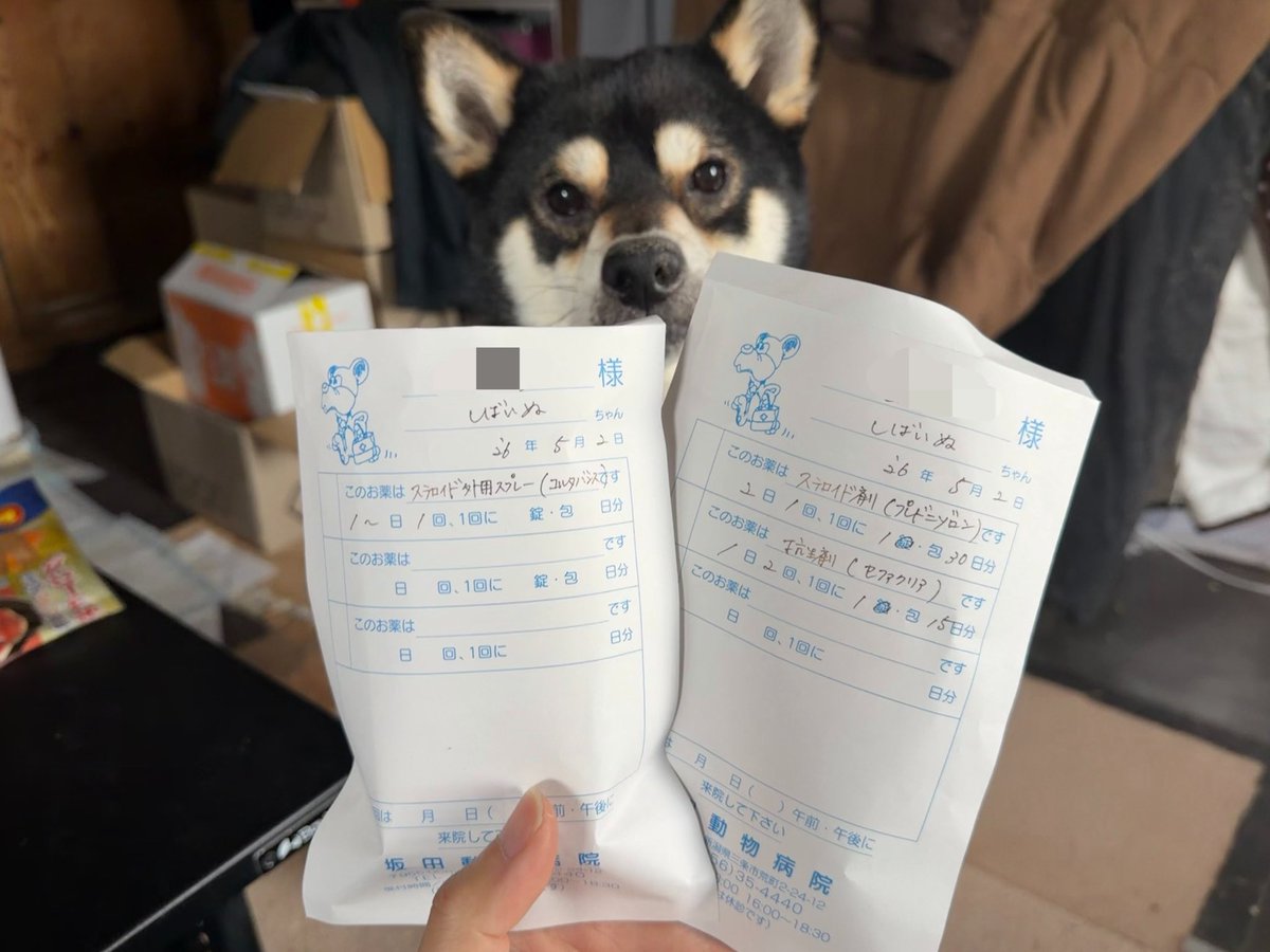 新井さん tweet media