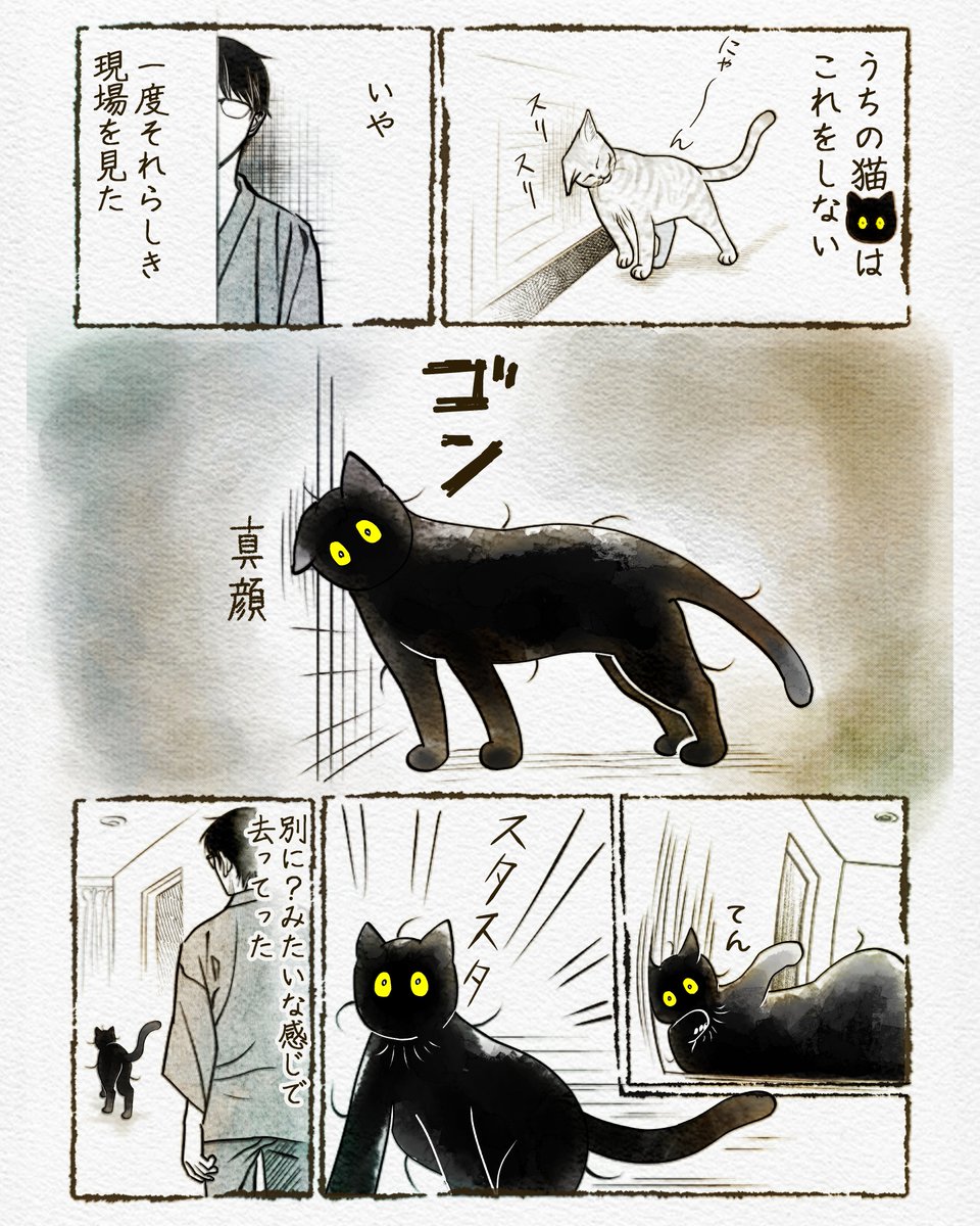 猫「見せてやろうか実力を」

(2/4) 