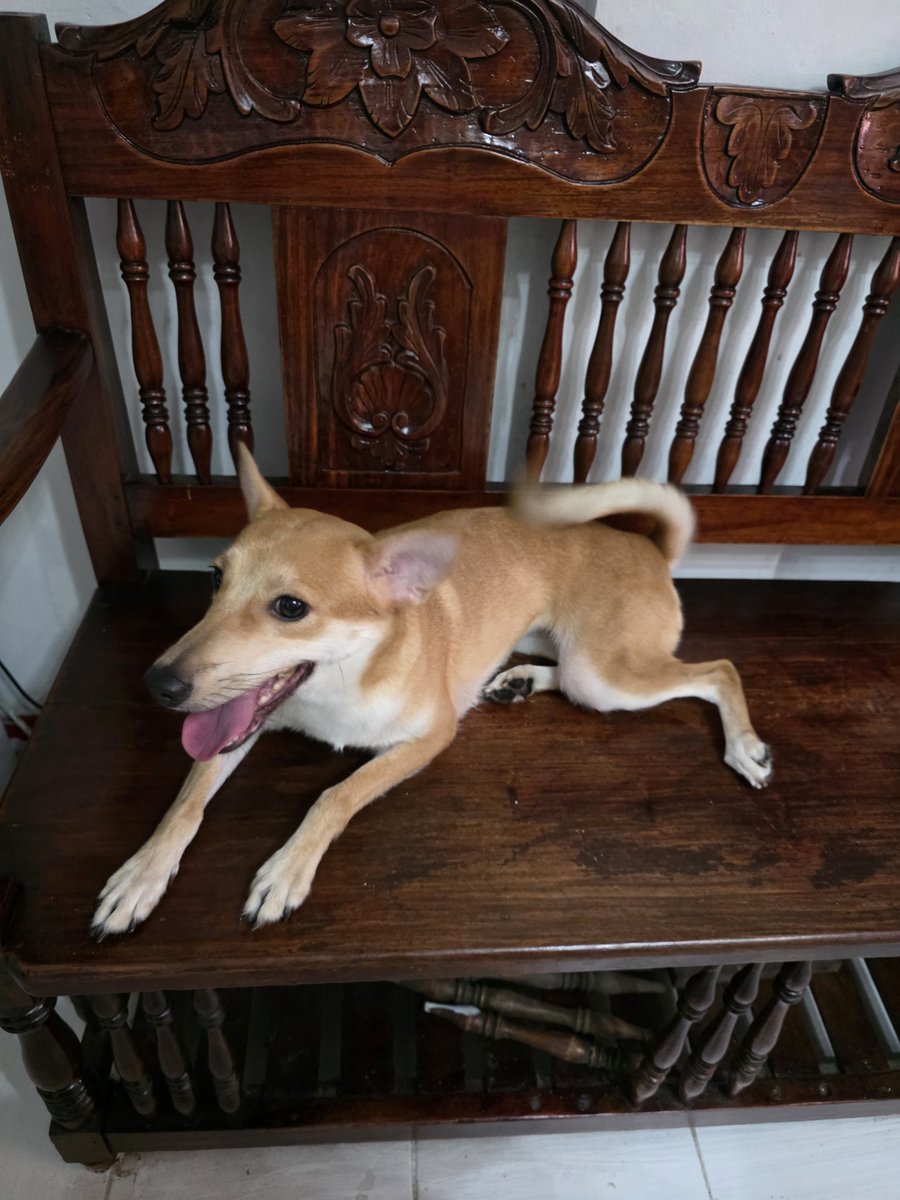 PinkPooches's tweet image. #weekendvibes