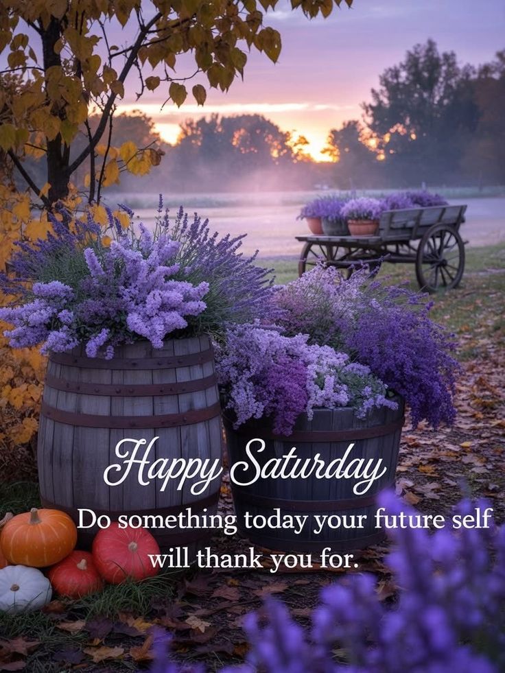 TravelFoodiesTV's tweet image. Happy #Saturday #Sunday #WeekendLive 🌹
Do something today your future self will thank you for.