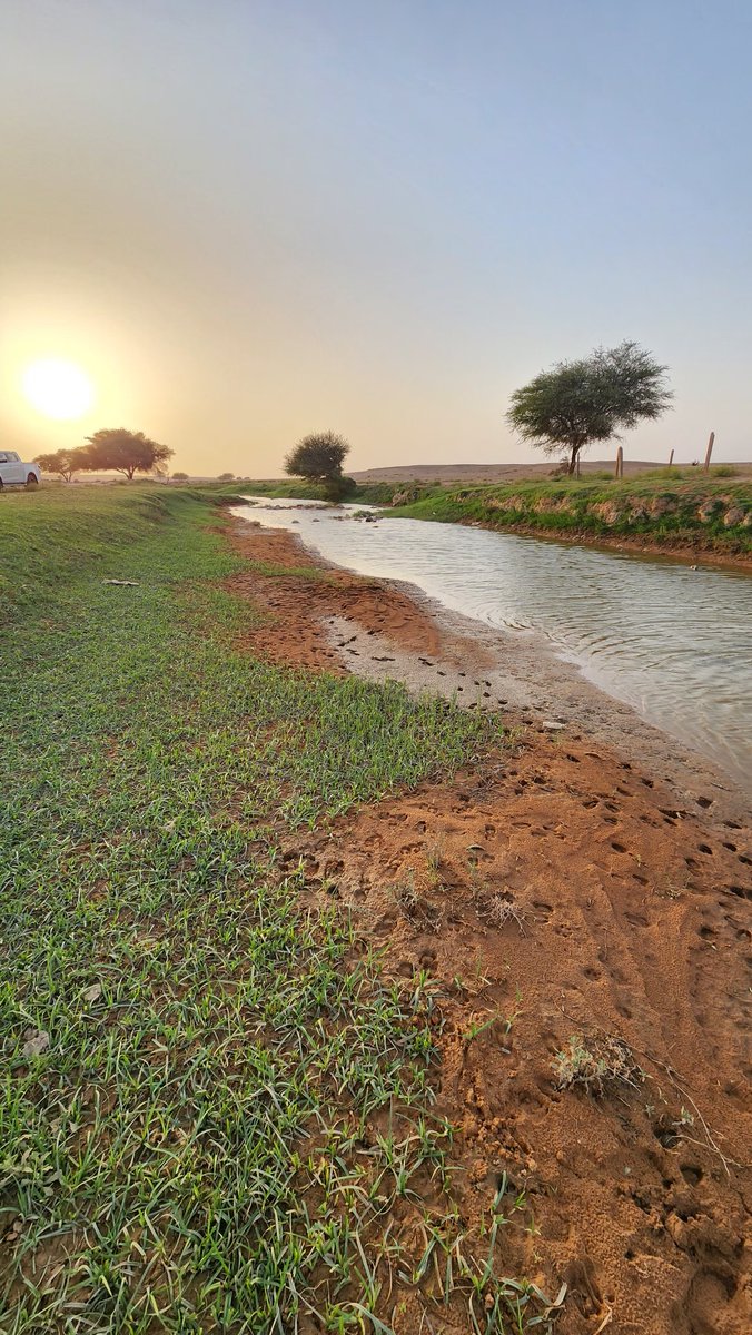 maged99381033's tweet photo. @mekshat1433 
شعيب المسعودي 
#شرق_الرياض 
الجمعة ١٤٤٧/١١/١٤
مكان جميل ومحدود https://t.co/5M1lpEClPN