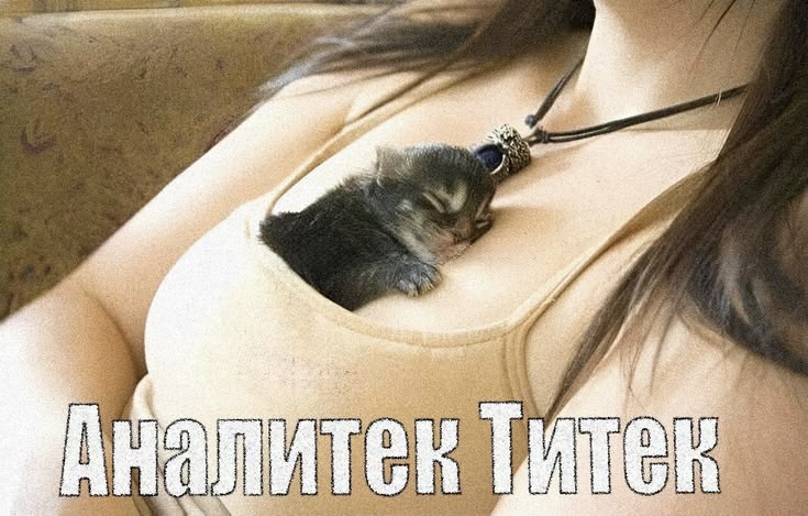 хз че tweet media
