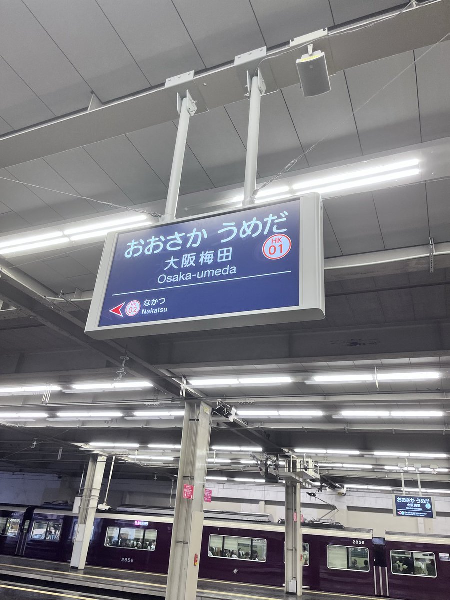かんだ▶︎ビバラ tweet media