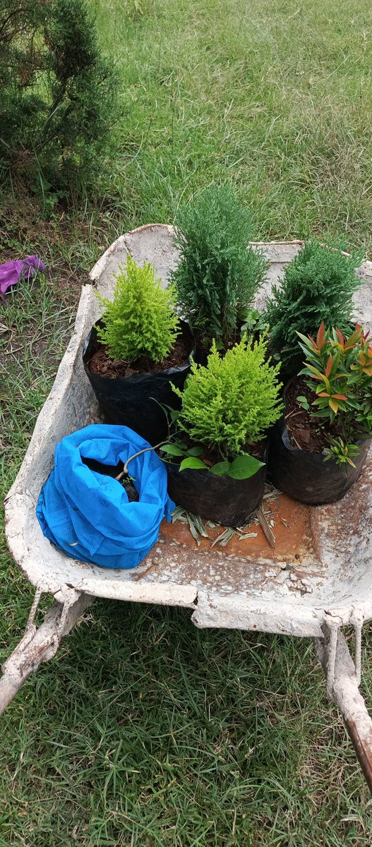 PkuruiKen's tweet photo. Farm Life starter pack... https://t.co/O074pPFJQk