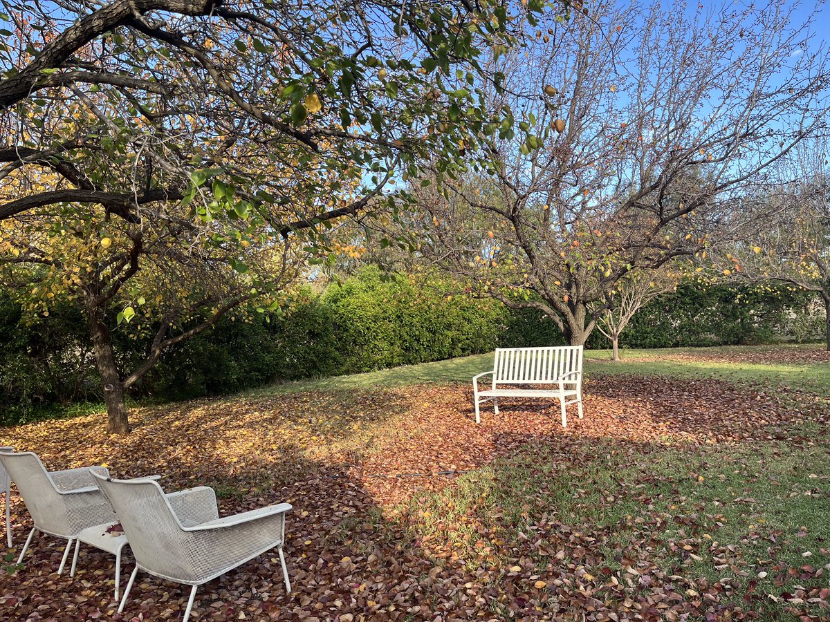 bob_dambergs's tweet image. #Autumn