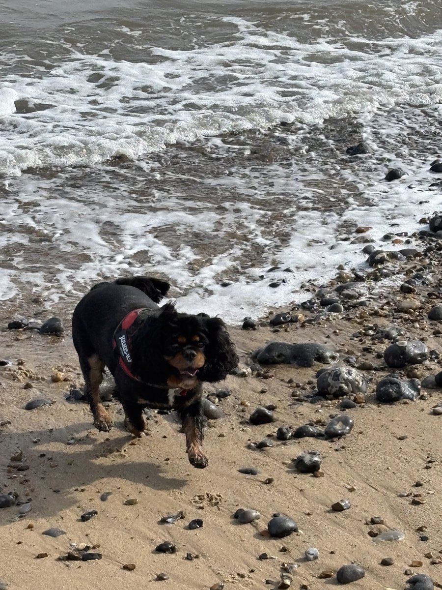 Beachy time again pals 🎉🎉😎