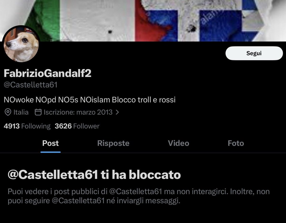 Matteo Bucarelli tweet media
