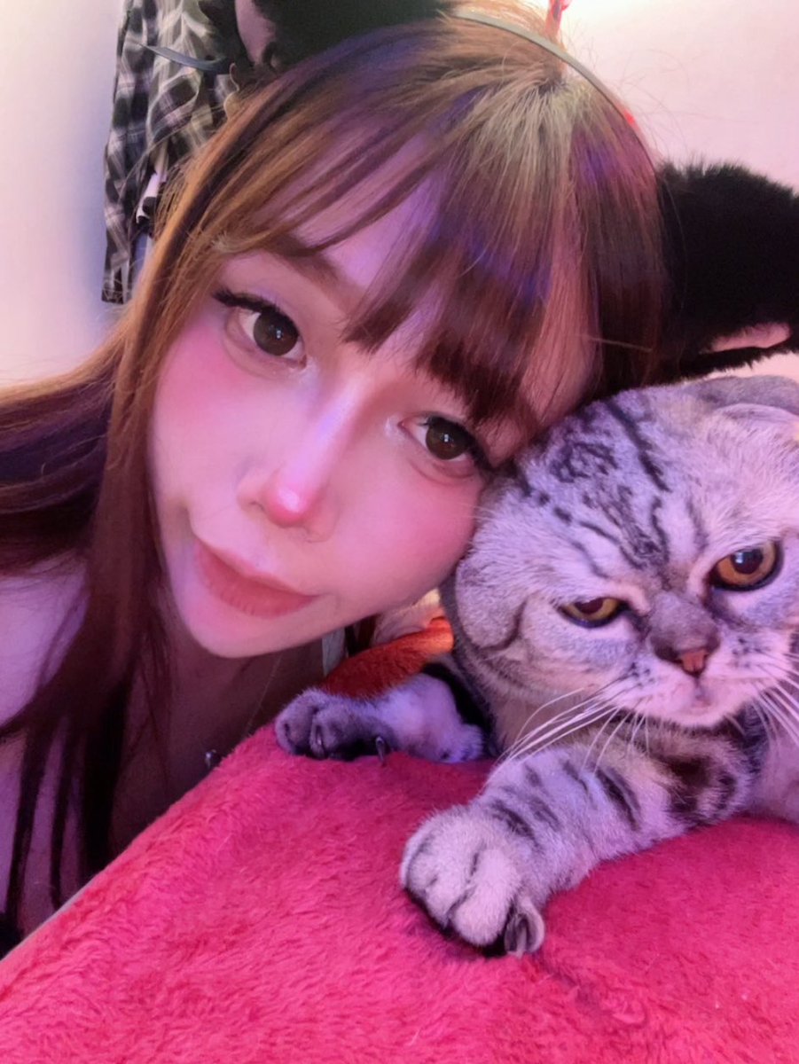 tstsdyson's tweet photo. 喵喵～🐈
#三性 https://t.co/v51oDoOO8G