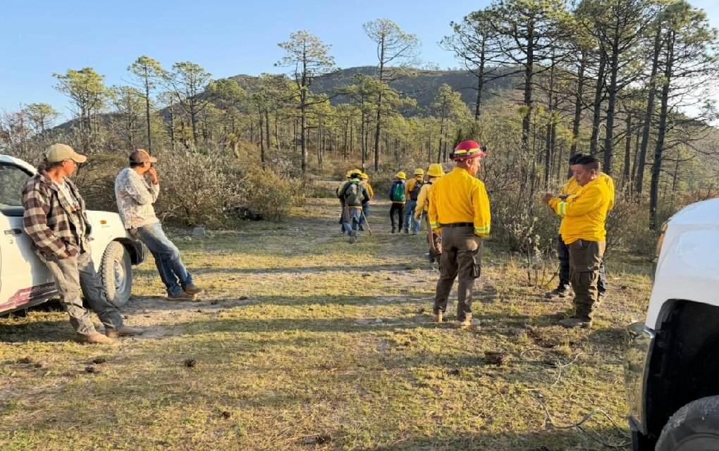 optimusinforma's tweet image. #Victoria Reportan 60% de control del incendio forestal en Miquihuana - optimusinformativo.com/victoria/repor…
#OptimusInformativo #Noticias #País #México #Tamaulipas #CdVictoria