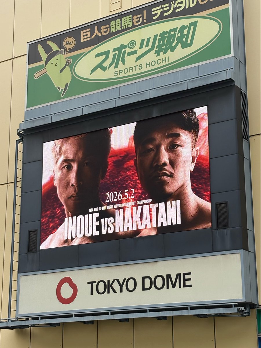 足袋ちゃん　#TabeeChan tweet media