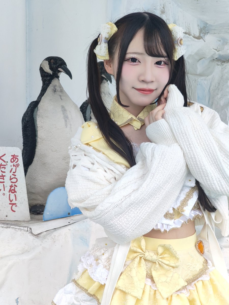 IB@スマホ撮影掲載用垢 tweet media