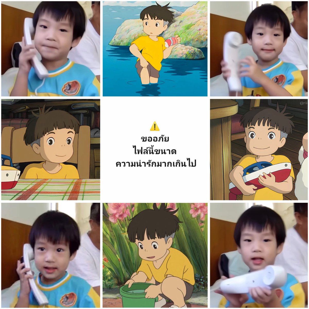 * ღ พีพีไม่กินถั่วงอก🌱⋆·˚ tweet media