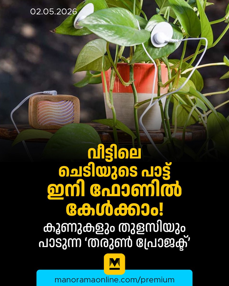 manoramaonline's tweet photo. കാറ്റിൽ ഇലകളും ശാഖകളും ഉരസുമ്പോൾ അരയാലും മുളങ്കൂട്ടവും ‘പാടുന്നത്’ നാം കേട്ടിട്ടുണ്ട്. എന്നാൽ, ചെറിയ ചെടി മുതൽ കൂറ്റൻ മരങ്ങൾ വരെ സ്വന്തമായി സംഗീതം പൊഴിക്കുന്നതു കേട്ടിട്ടുണ്ടോ?
#PlantMusic #PlantWave #Technology #ManoramaOnlineIndepth
Read: https://t.co/2whTOGKHZS https://t.co/Dz72H1EYrv