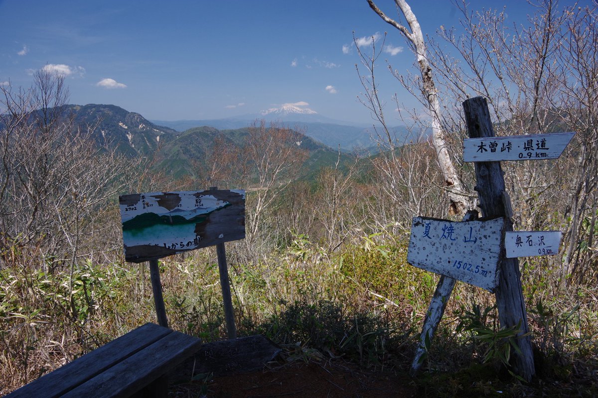 climbfusion111's tweet photo. 半年ぶりの山行は大平峠県民の森から夏焼山。11年前の記憶を頼りに進んだ道が廃道化しており藪漕ぎする羽目に… https://t.co/DSWAg3Wn4W