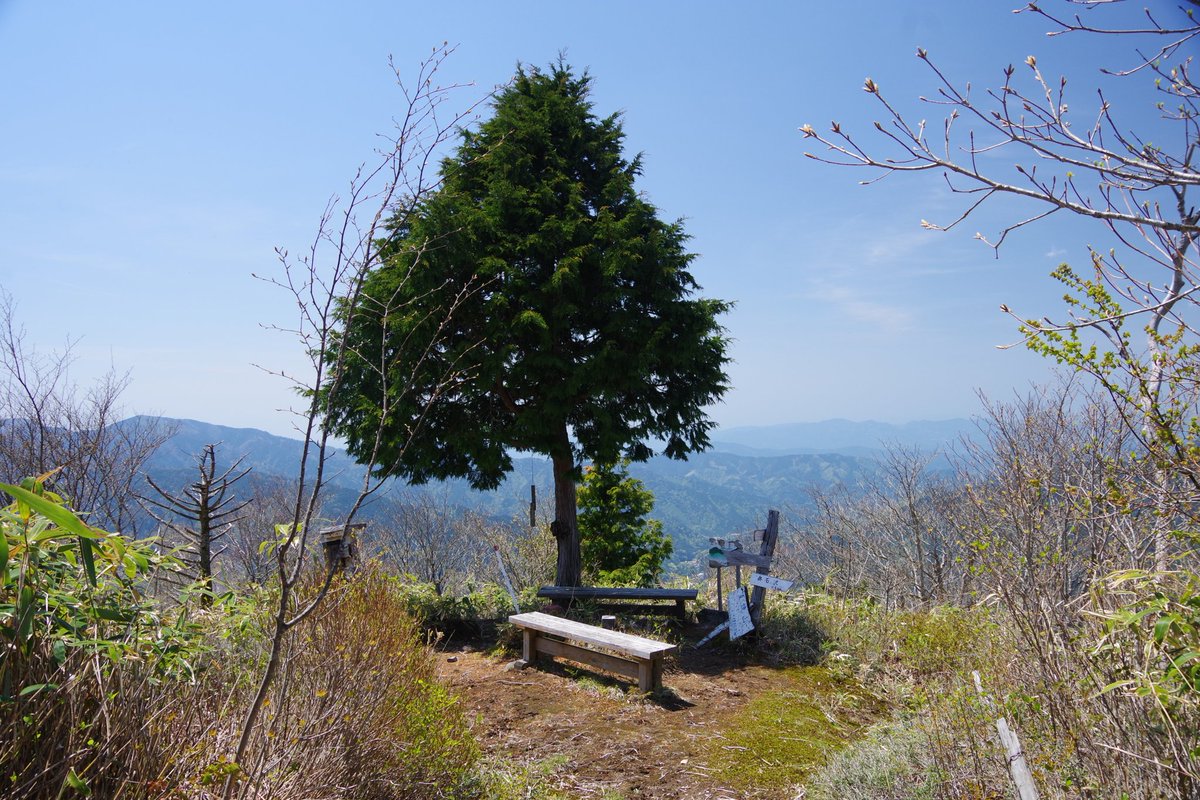 climbfusion111's tweet photo. 半年ぶりの山行は大平峠県民の森から夏焼山。11年前の記憶を頼りに進んだ道が廃道化しており藪漕ぎする羽目に… https://t.co/DSWAg3Wn4W