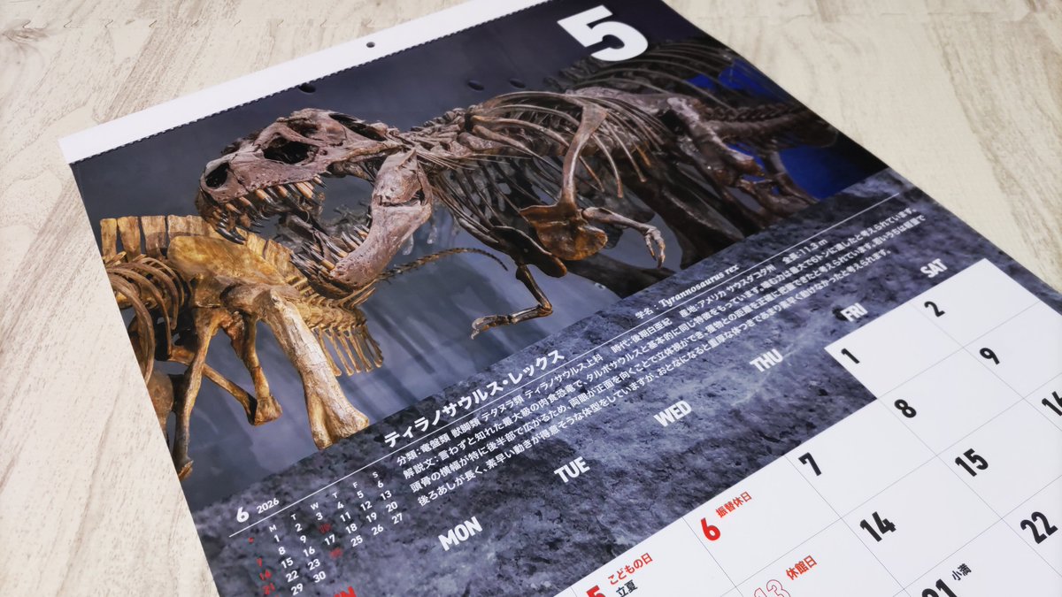 5月のカレンダーはT-レックス！🦖
#福井県立恐竜博物館