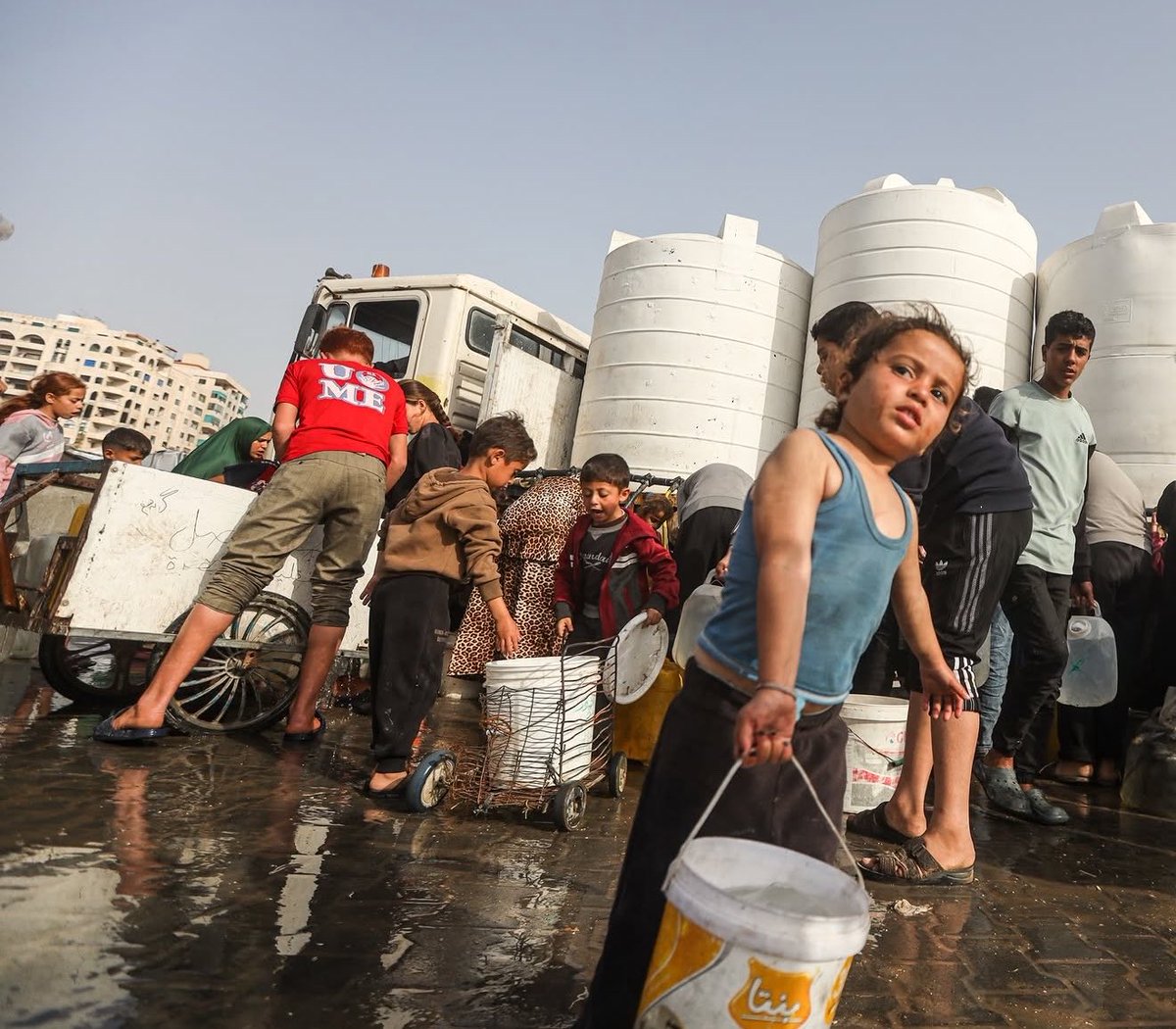 MiddleEast Live tweet media