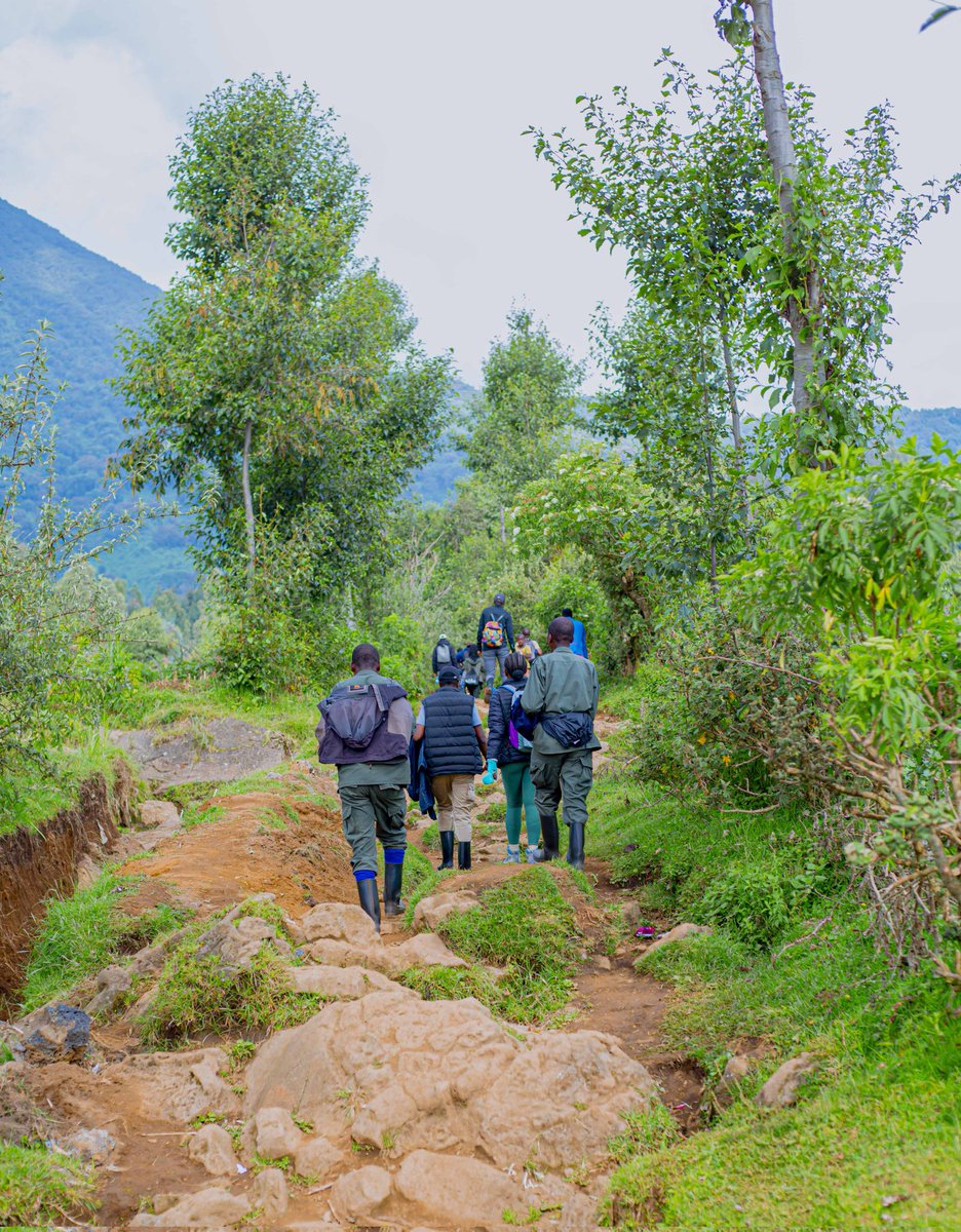 _Toussaint_3's tweet image. It's not just about the View, it's more than Hiking also. 

It's in Rwanda North 🇷🇼 
#VisitRwanda 
#Hiking 
#travelblogger
