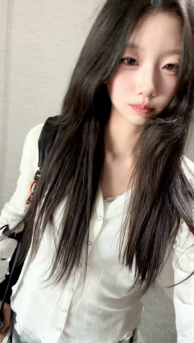 찌모 tweet media