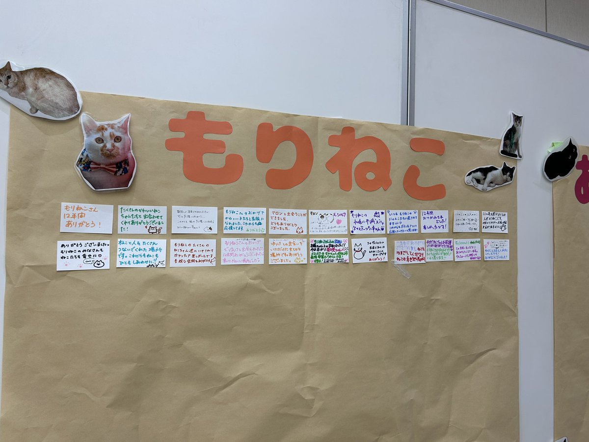 カワトク #にゃんぶまつり 会場では、もりねこへのありがとう