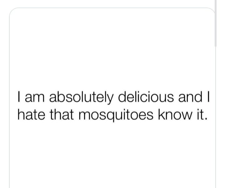 'Curvz tweet media