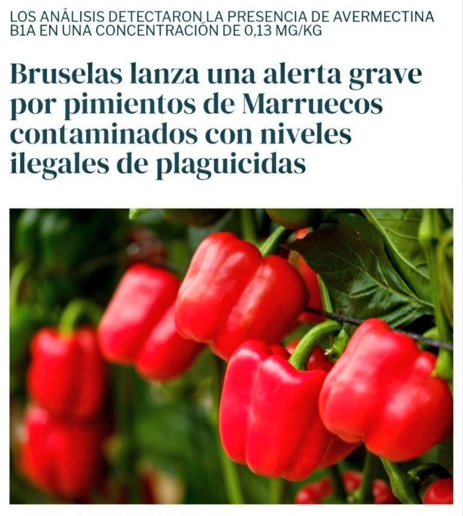 Valéncia Unida | 💙 tweet media