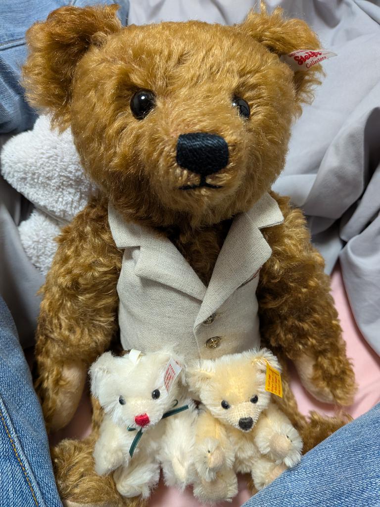 Tama0318@Spiner(シュタイフとヨーヨー） tweet media