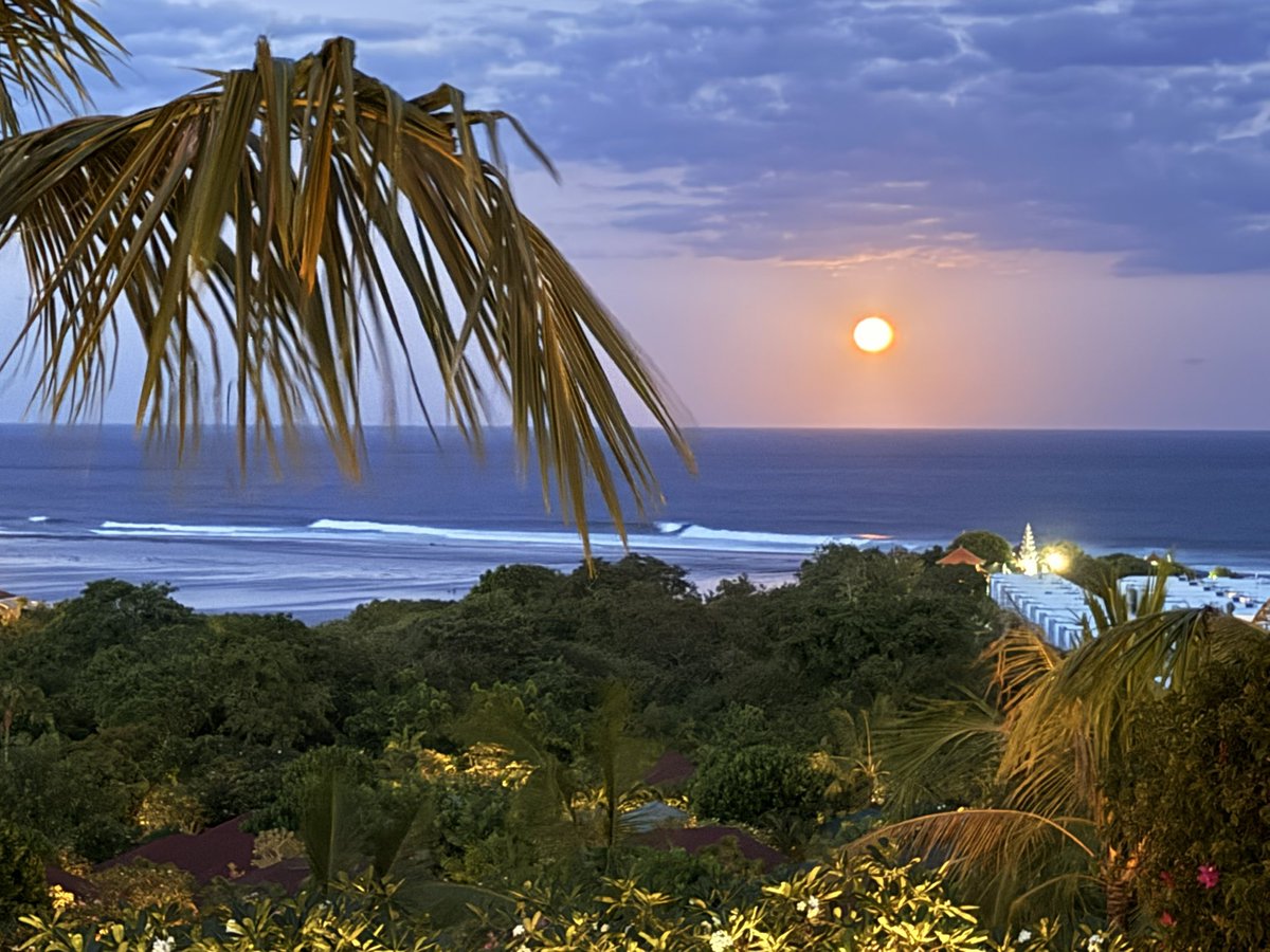 ScooterMcNeice's tweet image. Dealing with the loss #Bali