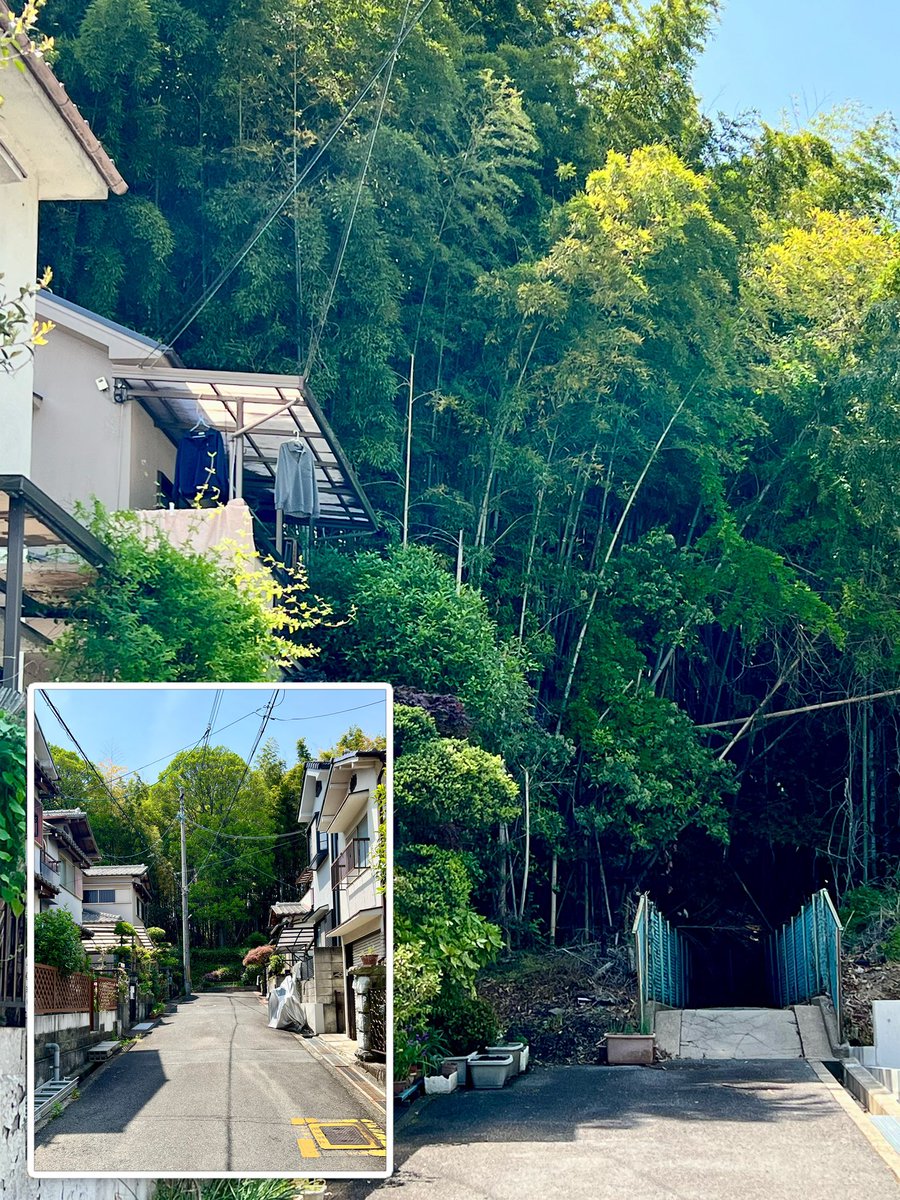 twincities2026's tweet photo. 巷弄深處，自有洞天。大阪郊外的心靈散步。路地の奥に広がる、別世界。大阪郊外の心休まる散策。Deep in the alleys, a world of its own. Soul-searching in Osaka's suburbs. ✨ #路地裏の風景 #OsakaSuburbs #ExploringJapan https://t.co/ubxcpxQjZ7