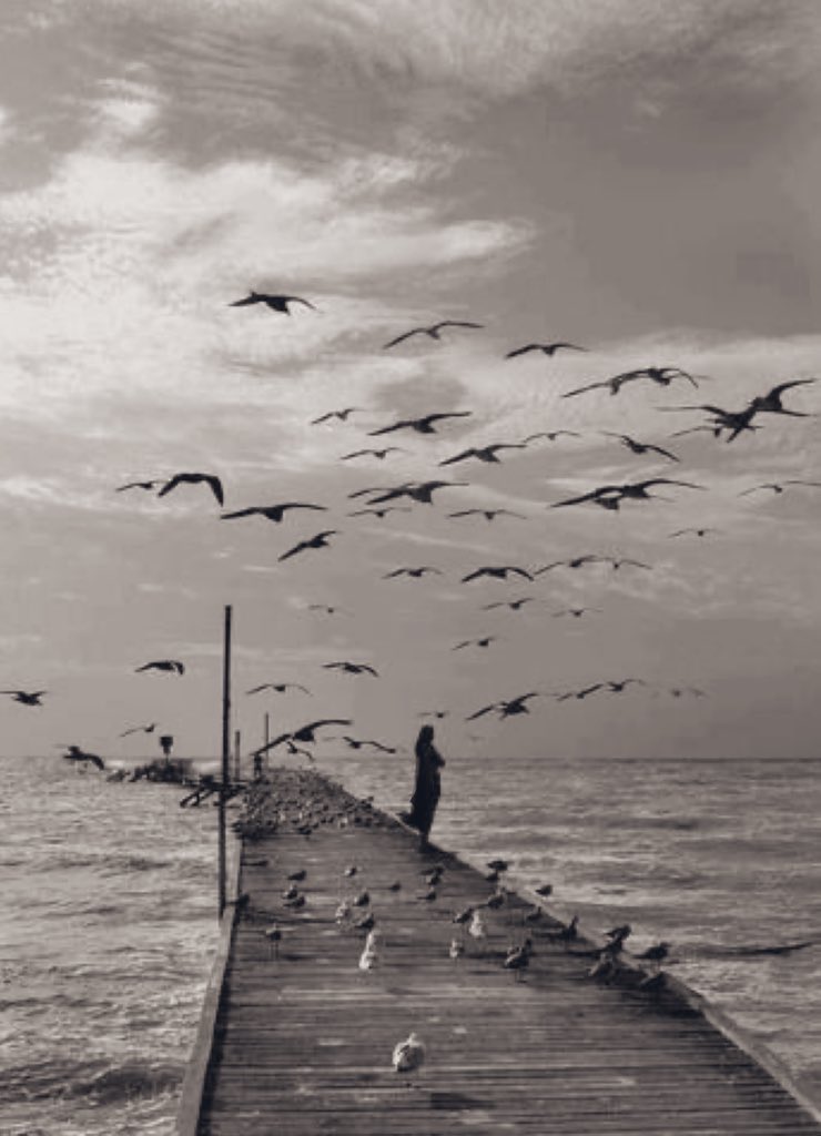 .. هوية حـرف .. tweet media