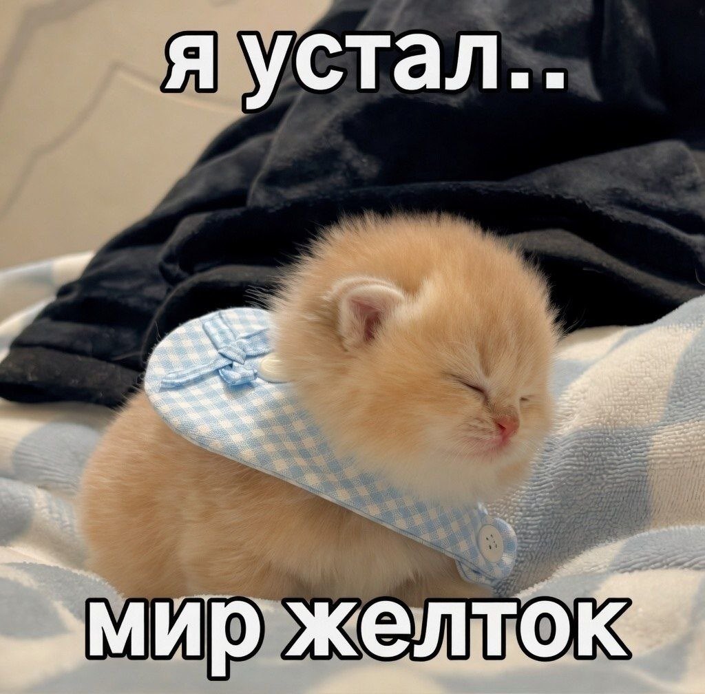 Tim tweet media