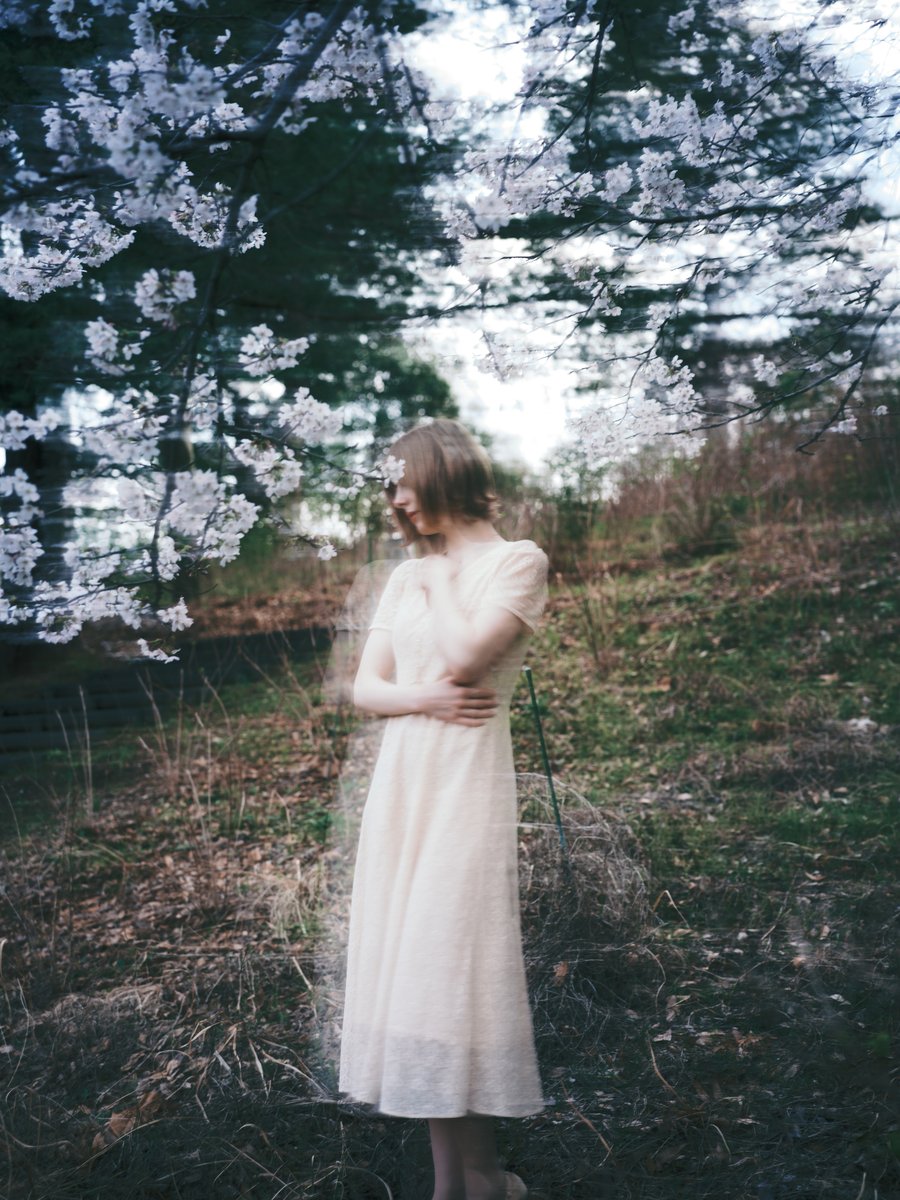 Toshi / Tonsokuの中の人 tweet media